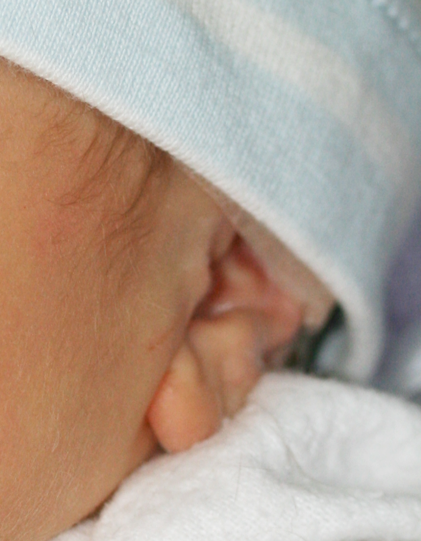 How it works – EarBuddies