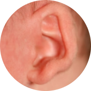 Stick-Out Lobe