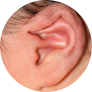 Folded-Over Helical Rim